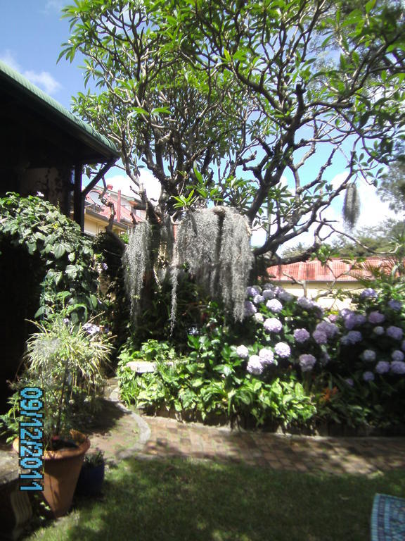 Hamilton Heritage B & B Newcastle Exterior foto